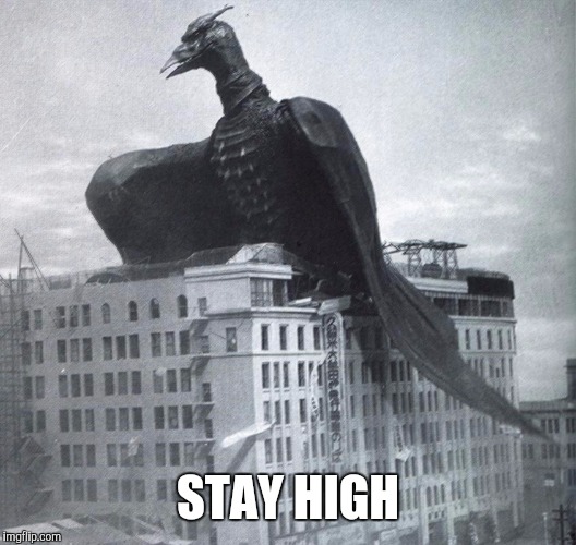 STAY HIGH | made w/ Imgflip meme maker