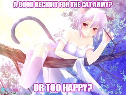 A GOOD RECRUIT FOR THE CAT ARMY? OR TOO HAPPY? | made w/ Imgflip meme maker