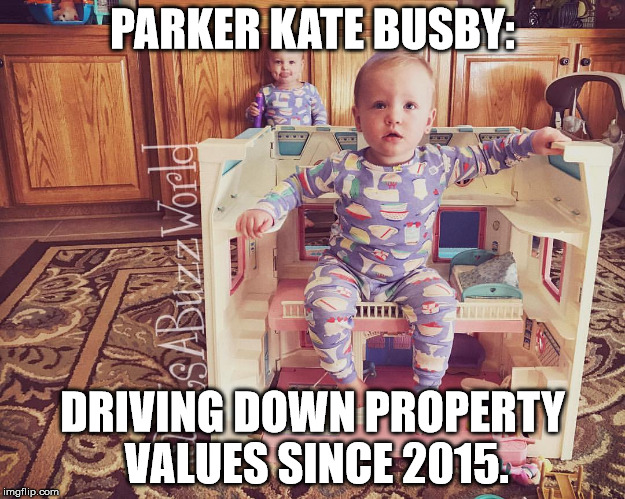 Busby Quint Real Estate Fail! | PARKER KATE BUSBY:; DRIVING DOWN PROPERTY VALUES SINCE 2015. | image tagged in outdaughtered,busbyquints,itsabuzzworld,parkerkatebusby | made w/ Imgflip meme maker