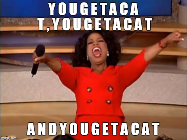 Oprah You Get A | Y O U G E T A C A T , Y O U G E T A C A T; A N D Y O U G E T A C A T | image tagged in memes,oprah you get a | made w/ Imgflip meme maker