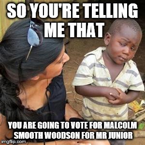 so youre telling me | SO YOU'RE TELLING ME THAT; YOU ARE GOING TO VOTE FOR MALCOLM SMOOTH WOODSON FOR MR JUNIOR | image tagged in so youre telling me | made w/ Imgflip meme maker