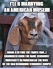 Muslim Goat Bride | I'LL B MARRYING AN AMERICAN MUSLIM; THANX 4 LIFTING THE TRAVEL BAN...I GRADUATED FROM THE SAME TERRORIST UNIVERSITY IN PAKISTAN AS THE WIFE OF THE SAN BERNADINO TERRORIST COUPLE | image tagged in muslim goat bride | made w/ Imgflip meme maker