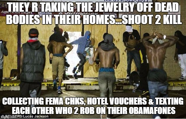 black looters | THEY R TAKING THE JEWELRY OFF DEAD BODIES IN THEIR HOMES...SHOOT 2 KILL; COLLECTING FEMA CHKS, HOTEL VOUCHERS & TEXTING EACH OTHER WHO 2 ROB ON THEIR OBAMAFONES | image tagged in black looters | made w/ Imgflip meme maker