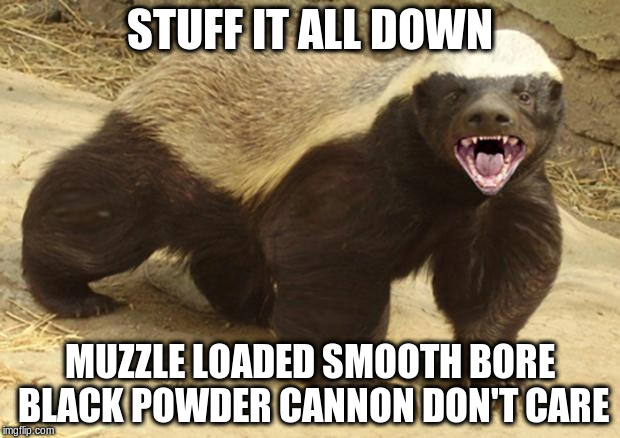 Honey badger | STUFF IT ALL DOWN; MUZZLE LOADED SMOOTH BORE BLACK POWDER CANNON DON'T CARE | image tagged in honey badger | made w/ Imgflip meme maker