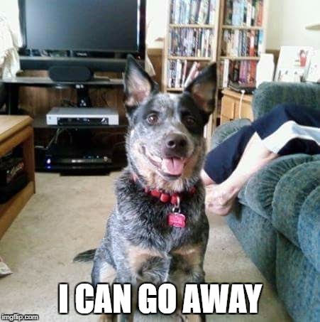 Go Away | I CAN GO AWAY | image tagged in go away | made w/ Imgflip meme maker