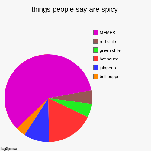things people say are spicy | image tagged in funny,pie charts,food | made w/ Imgflip chart maker