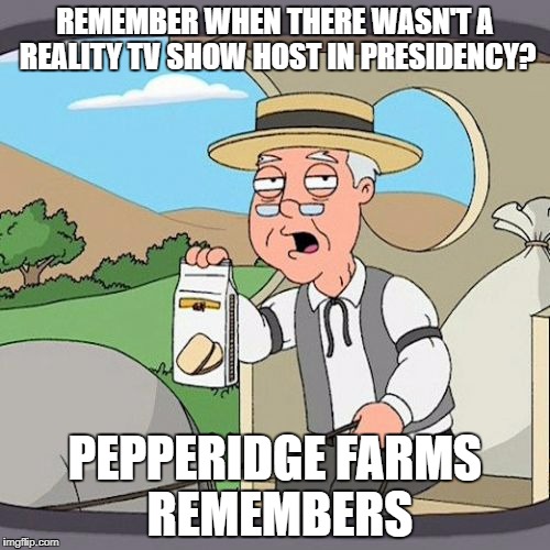 Pepperidge Farm Remembers Meme | REMEMBER WHEN THERE WASN'T A REALITY TV SHOW HOST IN PRESIDENCY? PEPPERIDGE FARMS REMEMBERS | image tagged in memes,pepperidge farm remembers | made w/ Imgflip meme maker