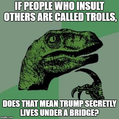 Philosoraptor | IF PEOPLE WHO INSULT OTHERS ARE CALLED TROLLS, DOES THAT MEAN TRUMP SECRETLY LIVES UNDER A BRIDGE? | image tagged in memes,philosoraptor | made w/ Imgflip meme maker