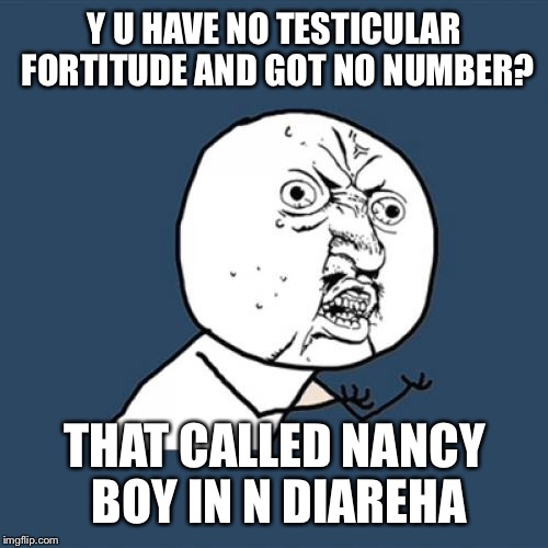 Y U No Meme | Y U HAVE NO TESTICULAR FORTITUDE AND GOT NO NUMBER? THAT CALLED NANCY BOY IN N DIAREHA | image tagged in memes,y u no | made w/ Imgflip meme maker