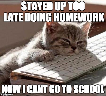 mosho sleeping | STAYED UP TOO LATE DOING HOMEWORK; NOW I CANT GO TO SCHOOL | image tagged in mosho sleeping | made w/ Imgflip meme maker