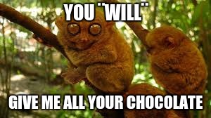 YOU ¨WILL¨; GIVE ME ALL YOUR CHOCOLATE | image tagged in chocolate | made w/ Imgflip meme maker