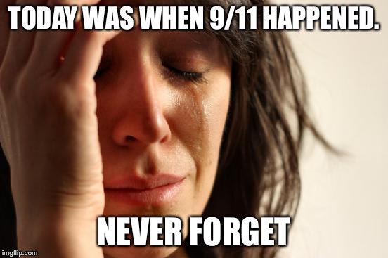 Never forget | TODAY WAS WHEN 9/11 HAPPENED. NEVER FORGET | image tagged in memes,first world problems,911,9/11,never forget,remember | made w/ Imgflip meme maker