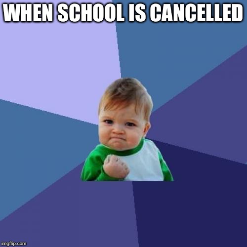 :D | WHEN SCHOOL IS CANCELLED | image tagged in memes,success kid,school | made w/ Imgflip meme maker