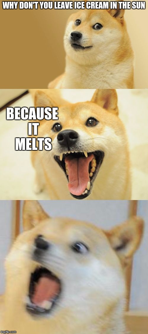 Bad Pun Doge | WHY DON'T YOU LEAVE ICE CREAM IN THE SUN; BECAUSE IT MELTS | image tagged in bad pun doge | made w/ Imgflip meme maker