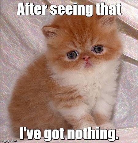 Sad Persian Kitten | After seeing that I've got nothing. | image tagged in sad kitty | made w/ Imgflip meme maker