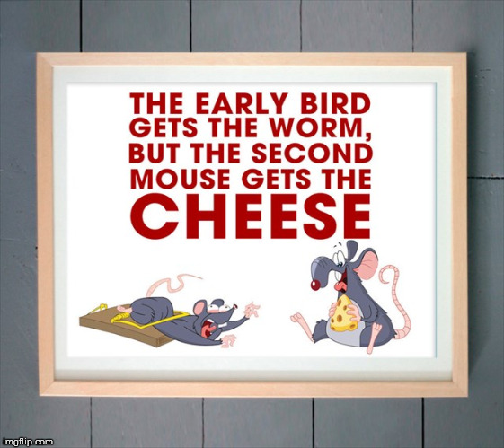 Just when you thought you were getting somewhere | THE EARLY BIRD GETS THE WORM BUT THE SECOND MOUSE GETS THE CHEESE | image tagged in proverb,success | made w/ Imgflip meme maker