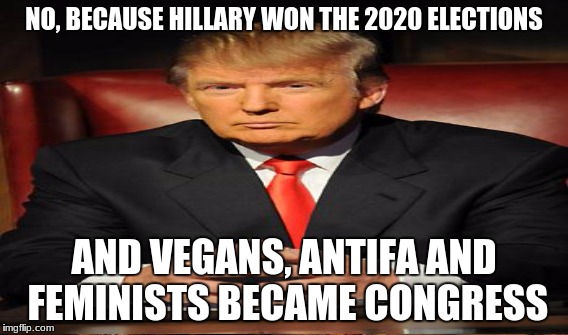 NO, BECAUSE HILLARY WON THE 2020 ELECTIONS AND VEGANS, ANTIFA AND FEMINISTS BECAME CONGRESS | made w/ Imgflip meme maker