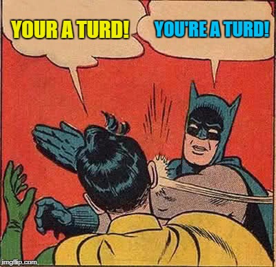 Batman Slapping Robin Meme | YOUR A TURD! YOU'RE A TURD! | image tagged in memes,batman slapping robin | made w/ Imgflip meme maker