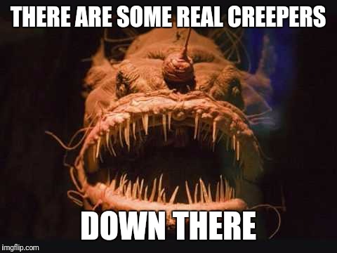 THERE ARE SOME REAL CREEPERS DOWN THERE | made w/ Imgflip meme maker