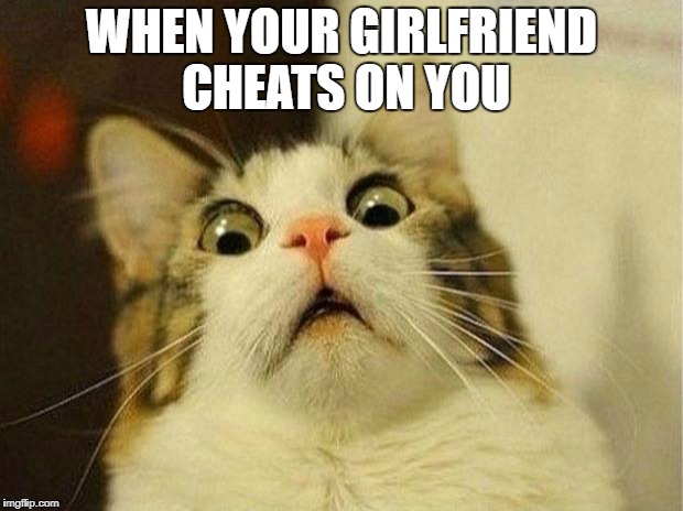 Scared Cat | WHEN YOUR GIRLFRIEND CHEATS ON YOU | image tagged in memes,scared cat | made w/ Imgflip meme maker