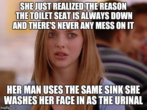 OMG Karen | SHE JUST REALIZED THE REASON THE TOILET SEAT IS ALWAYS DOWN AND THERE'S NEVER ANY MESS ON IT; HER MAN USES THE SAME SINK SHE WASHES HER FACE IN AS THE URINAL | image tagged in memes,omg karen | made w/ Imgflip meme maker