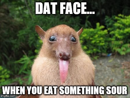 Lemonade advertisements be like... |  DAT FACE... WHEN YOU EAT SOMETHING SOUR | image tagged in dat face,meme,sour,relateable | made w/ Imgflip meme maker