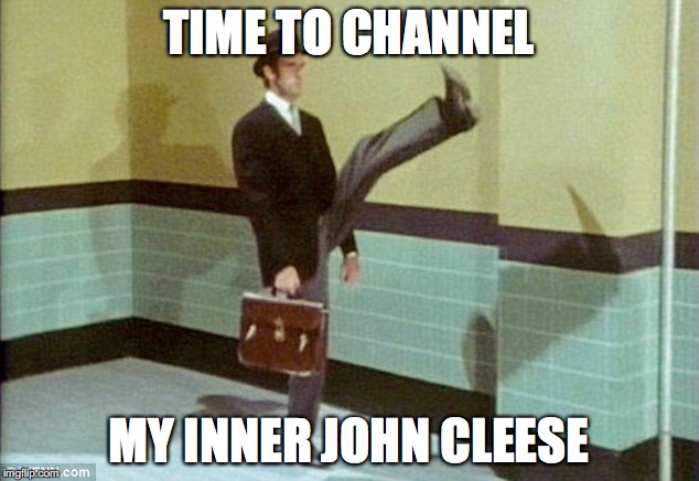 Time to channel my inner John Cleese | TIME TO CHANNEL; MY INNER JOHN CLEESE | image tagged in time to channel my inner john cleese | made w/ Imgflip meme maker