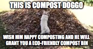 THIS IS COMPOST DOGGO; WISH HIM HAPPY COMPOSTING AND HE WILL GRANT YOU A ECO-FRIENDLY COMPOST BIN | image tagged in doge | made w/ Imgflip meme maker