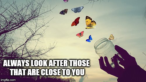 Butterflies | ALWAYS LOOK AFTER
THOSE THAT ARE CLOSE TO YOU | image tagged in butterflies | made w/ Imgflip meme maker
