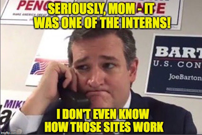 Ted Cruz Phonebanking | SERIOUSLY, MOM - IT WAS ONE OF THE INTERNS! I DON'T EVEN KNOW HOW THOSE SITES WORK | image tagged in ted cruz phonebanking | made w/ Imgflip meme maker