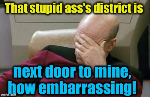 Captain Picard Facepalm Meme | That stupid ass's district is next door to mine, how embarrassing! | image tagged in memes,captain picard facepalm | made w/ Imgflip meme maker