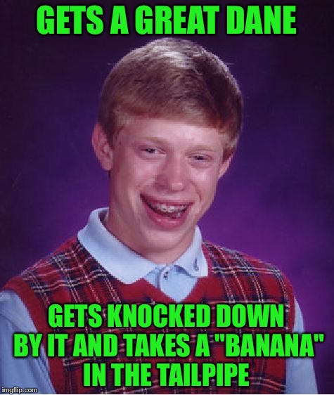 Bad Luck Brian Meme | GETS A GREAT DANE GETS KNOCKED DOWN BY IT AND TAKES A "BANANA" IN THE TAILPIPE | image tagged in memes,bad luck brian | made w/ Imgflip meme maker