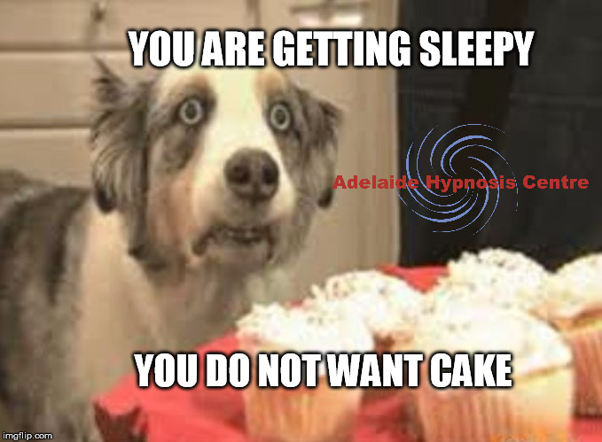 Hypnosis pupper eyes cupcakes | YOU ARE GETTING SLEEPY; YOU DO NOT WANT CAKE | image tagged in hypnosis pupper eyes cupcakes | made w/ Imgflip meme maker