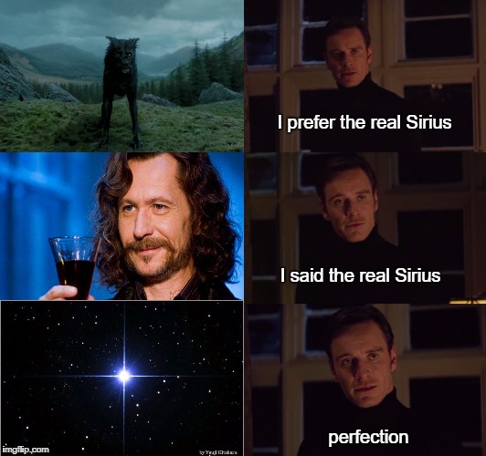 Seriously, it's a star, not just a character. | I prefer the real Sirius; I said the real Sirius; perfection | image tagged in perfection,sirius black,stars,harry potter | made w/ Imgflip meme maker
