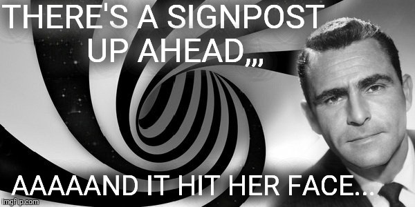 THERE'S A SIGNPOST   UP AHEAD,,, AAAAAND IT HIT HER FACE... | made w/ Imgflip meme maker