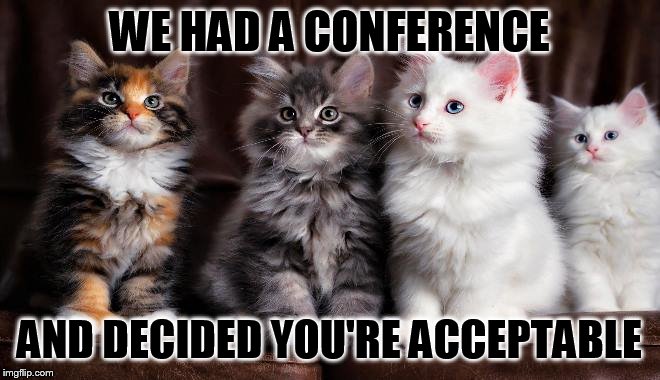 WE HAD A CONFERENCE AND DECIDED YOU'RE ACCEPTABLE | made w/ Imgflip meme maker