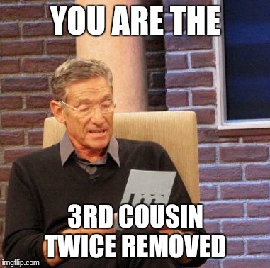 Maury Lie Detector Meme | YOU ARE THE; 3RD COUSIN TWICE REMOVED | image tagged in memes,maury lie detector | made w/ Imgflip meme maker