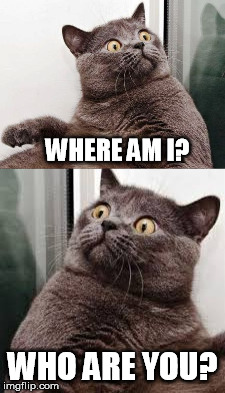 WHERE AM I? WHO ARE YOU? | made w/ Imgflip meme maker
