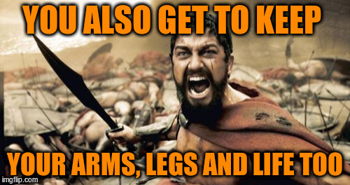 Sparta Leonidas Meme | YOU ALSO GET TO KEEP YOUR ARMS, LEGS AND LIFE TOO | image tagged in memes,sparta leonidas | made w/ Imgflip meme maker