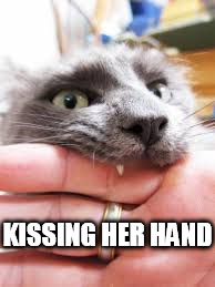 KISSING HER HAND | made w/ Imgflip meme maker