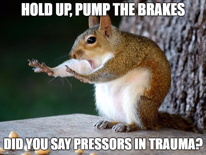 Hold Up | HOLD UP, PUMP THE BRAKES; DID YOU SAY PRESSORS IN TRAUMA? | image tagged in hold up | made w/ Imgflip meme maker