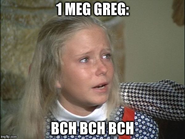 Jan Brady 2 | 1 MEG GREG:; BCH BCH BCH | image tagged in jan brady 2 | made w/ Imgflip meme maker