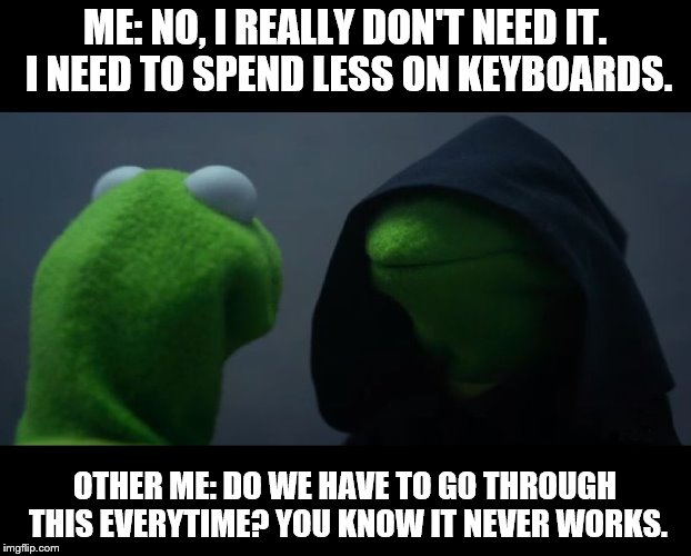 Evil Kermit Meme | ME: NO, I REALLY DON'T NEED IT. I NEED TO SPEND LESS ON KEYBOARDS. OTHER ME: DO WE HAVE TO GO THROUGH THIS EVERYTIME? YOU KNOW IT NEVER WORKS. | image tagged in evil kermit meme | made w/ Imgflip meme maker