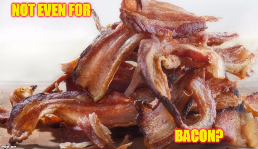 NOT EVEN FOR BACON? | made w/ Imgflip meme maker