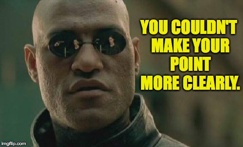Matrix Morpheus Meme | YOU COULDN'T MAKE YOUR POINT MORE CLEARLY. | image tagged in memes,matrix morpheus | made w/ Imgflip meme maker