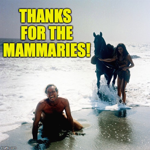 THANKS FOR THE MAMMARIES! | made w/ Imgflip meme maker