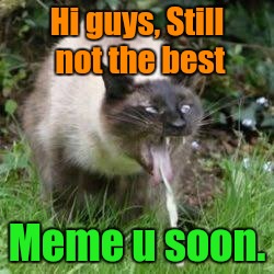  Hi guys, Still not the best; Meme u soon. | image tagged in vomit puss | made w/ Imgflip meme maker