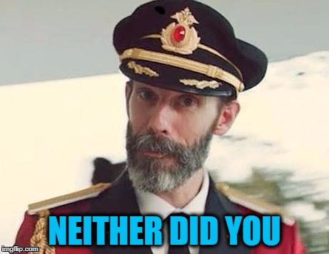 Captain Obvious | NEITHER DID YOU | image tagged in captain obvious | made w/ Imgflip meme maker