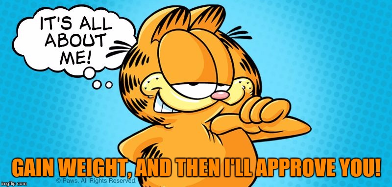 Approving  Garfield | GAIN WEIGHT, AND THEN I'LL APPROVE YOU! | image tagged in approving  garfield | made w/ Imgflip meme maker