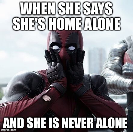 Deadpool Surprised | WHEN SHE SAYS SHE'S HOME ALONE; AND SHE IS NEVER ALONE | image tagged in memes,deadpool surprised | made w/ Imgflip meme maker
